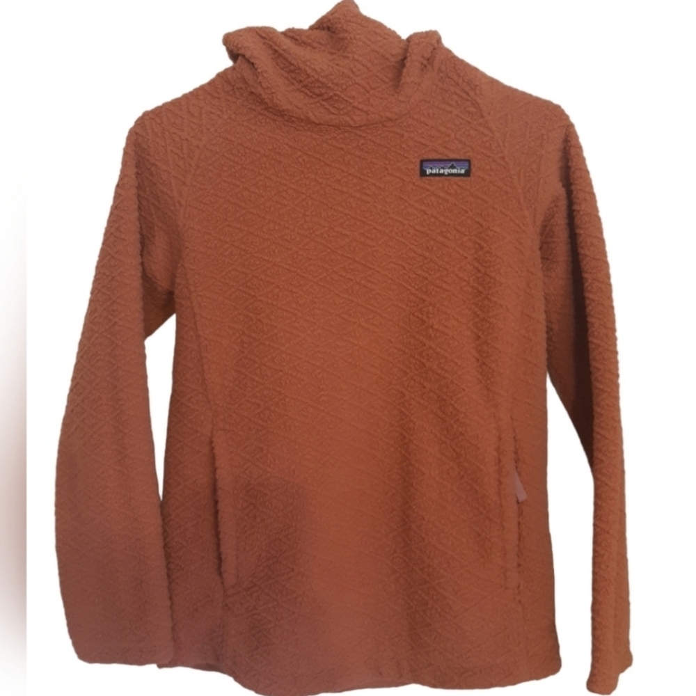 Patagonia Diamond Capra Hoody